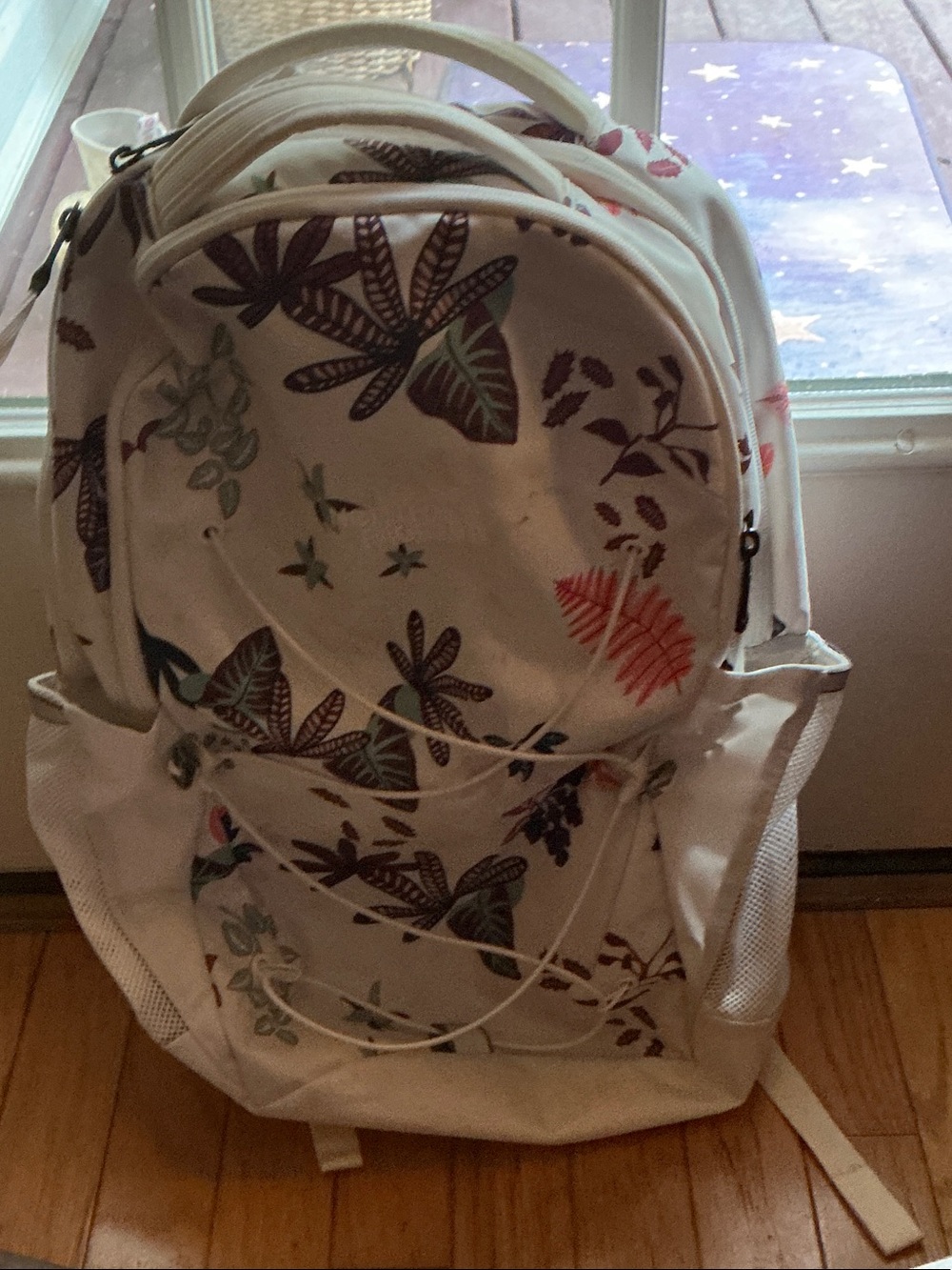 The Northface Jester Backpack